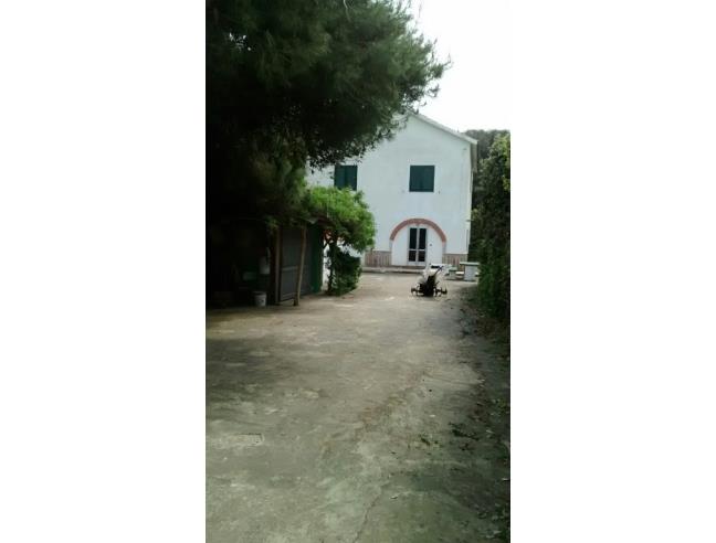 Anteprima foto 3 - Villa in Vendita a Rodi Garganico (Foggia)