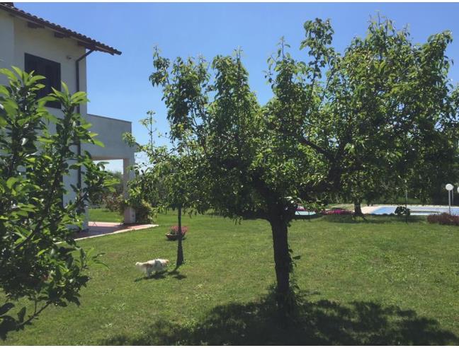 Anteprima foto 7 - Villa in Vendita a Teramo - San Nicolò A Tordino