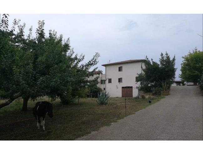 Anteprima foto 8 - Villa in Vendita a Villa San Giovanni in Tuscia (Viterbo)