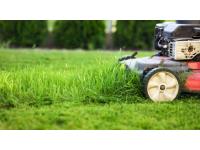 Logo - Impresa giardinaggio