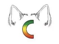Logo - Baucert