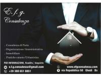 Logo - EfgConsulenza