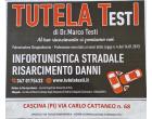 Logo - TUTELA TestI di MARCO TESTI