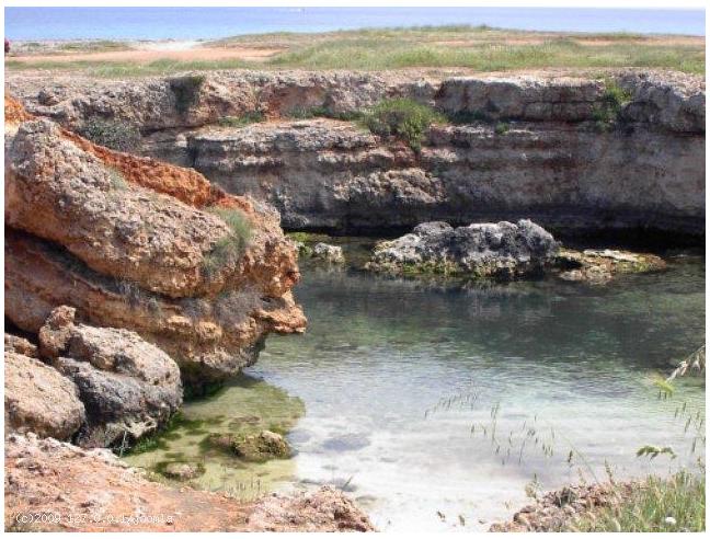 Anteprima foto 6 - Affitto Altro Vacanze da Privato a Carovigno - Torre Santa Sabina