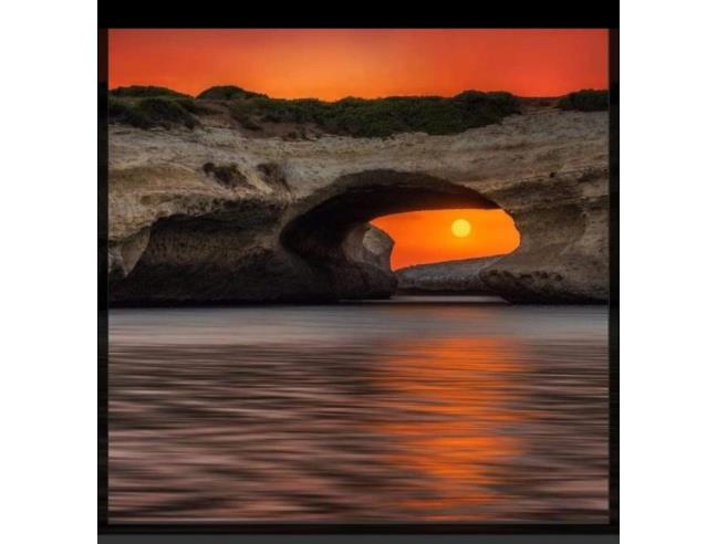 Anteprima foto 4 - Affitto Altro Vacanze da Privato a Oristano - Centro città