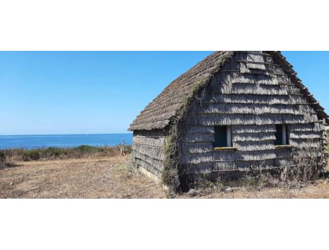 Anteprima foto 5 - Affitto Altro Vacanze da Privato a Oristano - Centro città