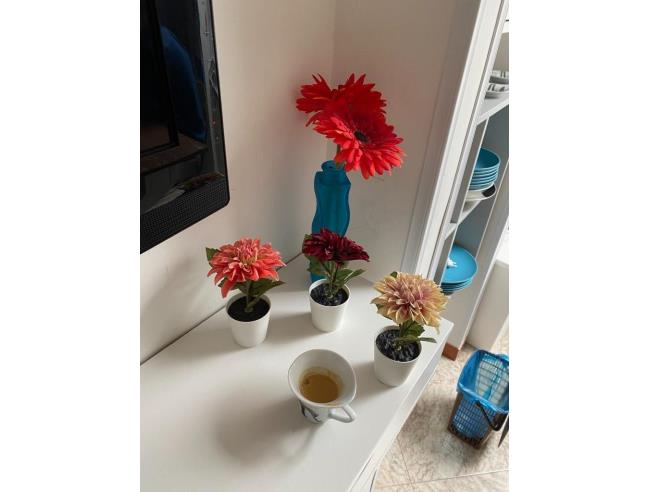 Anteprima foto 7 - Affitto Appartamento Vacanze da Privato a Agropoli (Salerno)