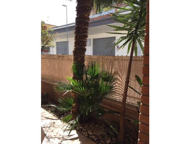 Anteprima foto 5 - Affitto Appartamento Vacanze da Privato a Alba Adriatica (Teramo)