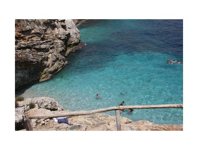 Anteprima foto 1 - Affitto Appartamento Vacanze da Privato a Alcamo (Trapani)