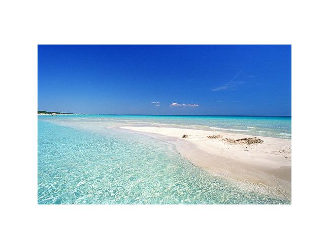 Anteprima foto 1 - Affitto Appartamento Vacanze da Privato a Alliste - Felline
