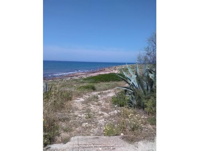 Anteprima foto 8 - Affitto Appartamento Vacanze da Privato a Alliste - Felline