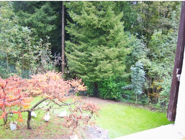 Anteprima foto 2 - Affitto Appartamento Vacanze da Privato a Alta Valle Intelvi (Como)