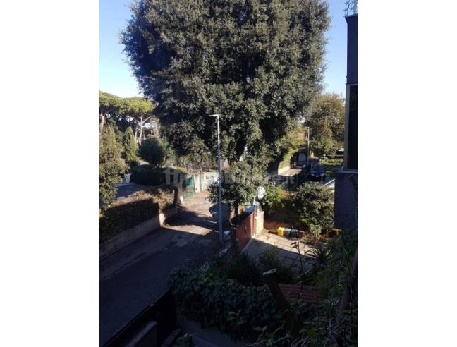 Anteprima foto 5 - Affitto Appartamento Vacanze da Privato a Anzio - Lido Dei Pini