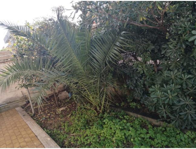 Anteprima foto 6 - Affitto Appartamento Vacanze da Privato a Ardea - Marina Di Tor San Lorenzo