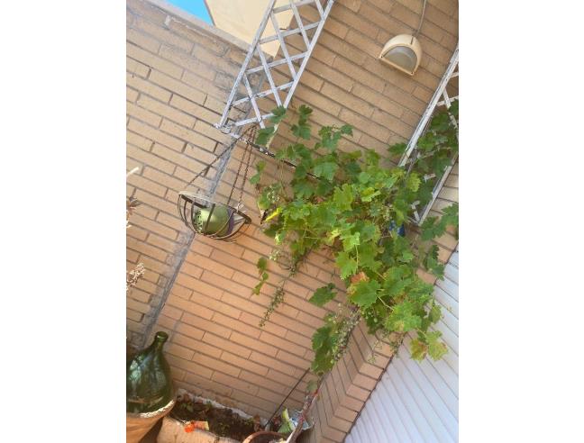 Anteprima foto 7 - Affitto Appartamento Vacanze da Privato a Ardea - Villaggio Ardeatino