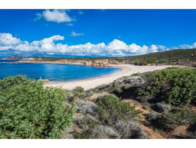 Anteprima foto 7 - Affitto Appartamento Vacanze da Privato a Arzachena - Liscia Di Vacca