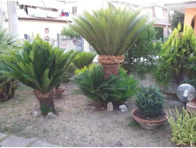 Anteprima foto 7 - Affitto Appartamento Vacanze da Privato a Ascea - Marina Di Ascea