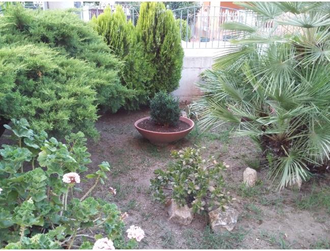 Anteprima foto 8 - Affitto Appartamento Vacanze da Privato a Ascea - Marina Di Ascea