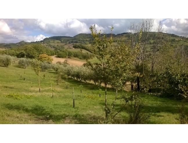 Anteprima foto 7 - Affitto Appartamento Vacanze da Privato a Assisi (Perugia)