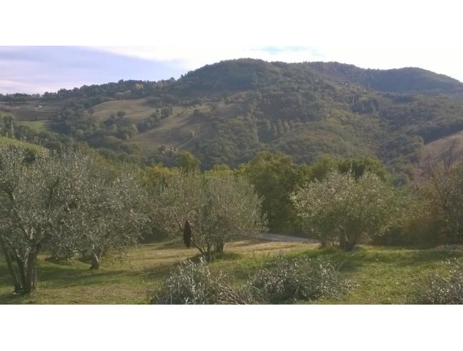 Anteprima foto 8 - Affitto Appartamento Vacanze da Privato a Assisi (Perugia)