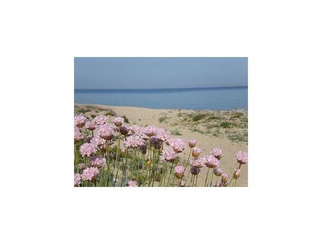 Anteprima foto 3 - Affitto Appartamento Vacanze da Privato a Badesi (Sassari)