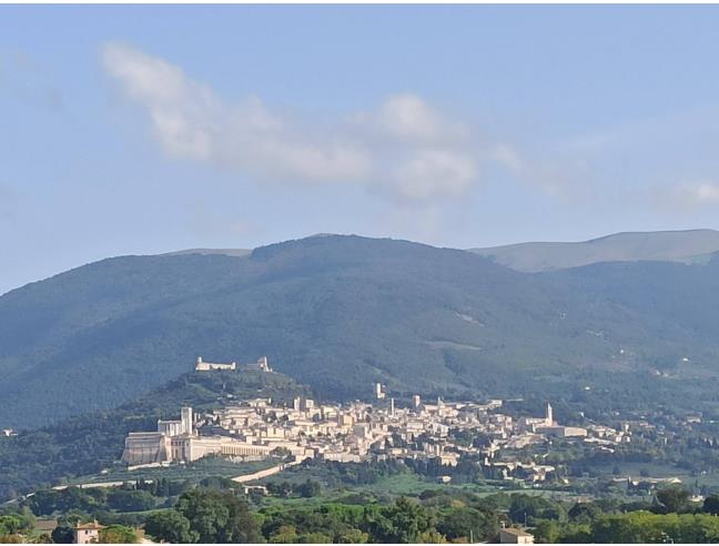 Anteprima foto 8 - Affitto Appartamento Vacanze da Privato a Bastia Umbra (Perugia)