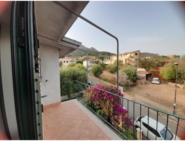 Anteprima foto 6 - Affitto Appartamento Vacanze da Privato a Baunei (Nuoro)