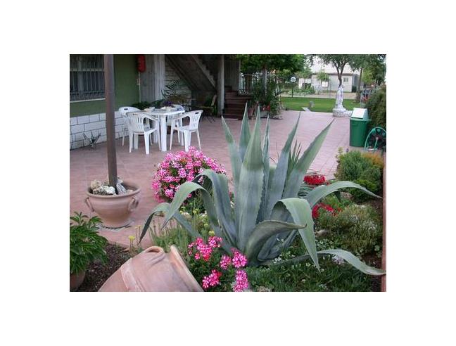 Anteprima foto 3 - Affitto Appartamento Vacanze da Privato a Bellaria-Igea Marina (Rimini)