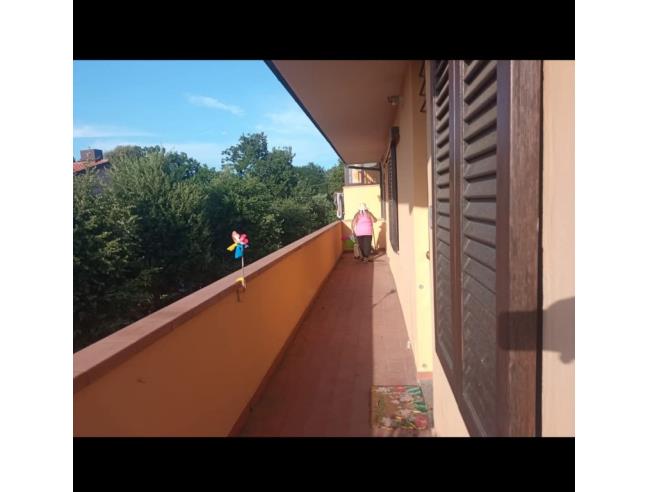 Anteprima foto 3 - Affitto Appartamento Vacanze da Privato a Bibbona - Marina Di Bibbona