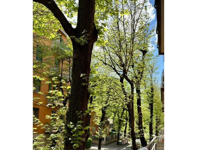 Anteprima foto 3 - Affitto Appartamento Vacanze da Privato a Bologna - Sant'Orsola Malpighi