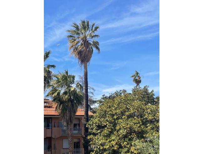 Anteprima foto 5 - Affitto Appartamento Vacanze da Privato a Bordighera - Sasso Di Bordighera