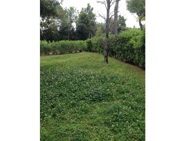 Anteprima foto 3 - Affitto Appartamento Vacanze da Privato a Borghi - Lo Stradone