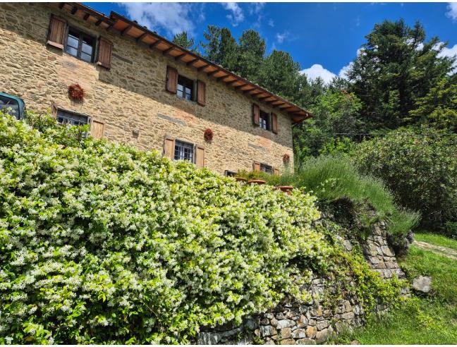 Anteprima foto 1 - Affitto Appartamento Vacanze da Privato a Borgo San Lorenzo - Grezzano