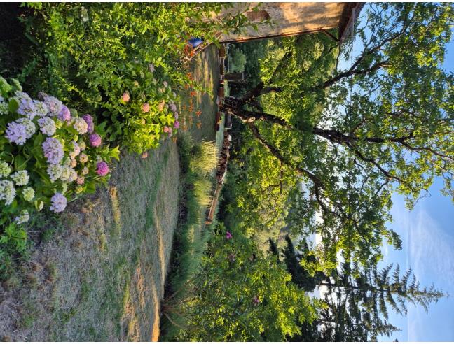 Anteprima foto 3 - Affitto Appartamento Vacanze da Privato a Borgo San Lorenzo - Grezzano