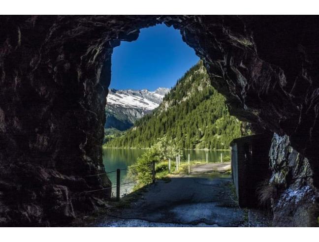 Anteprima foto 6 - Affitto Appartamento Vacanze da Privato a Borgomezzavalle (Verbano-Cusio-Ossola)