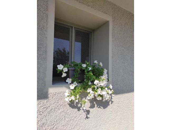 Anteprima foto 2 - Affitto Appartamento Vacanze da Privato a Bossico (Bergamo)