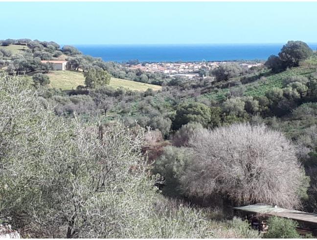 Anteprima foto 8 - Affitto Appartamento Vacanze da Privato a Budoni - Luttuni