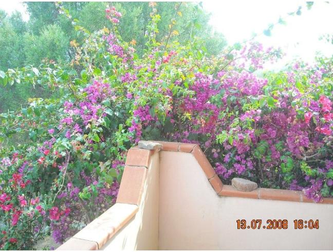 Anteprima foto 6 - Affitto Appartamento Vacanze da Privato a Budoni - Malamurì