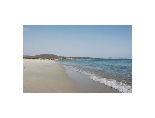 Anteprima foto 1 - Affitto Appartamento Vacanze da Privato a Budoni (Sassari)