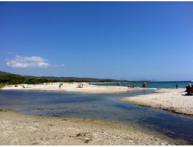 Anteprima foto 7 - Affitto Appartamento Vacanze da Privato a Budoni (Sassari)