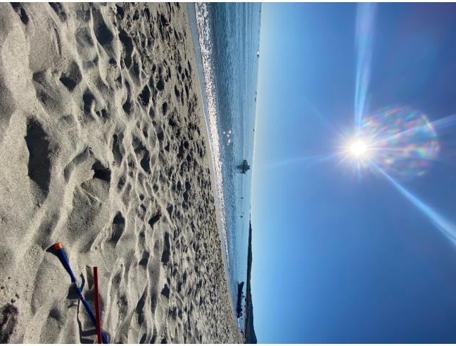 Anteprima foto 8 - Affitto Appartamento Vacanze da Privato a Budoni (Sassari)