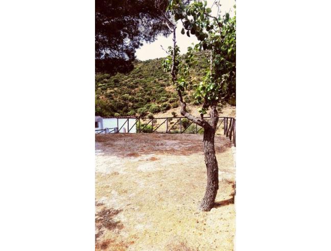 Anteprima foto 6 - Affitto Appartamento Vacanze da Privato a Budoni - Tanaunella