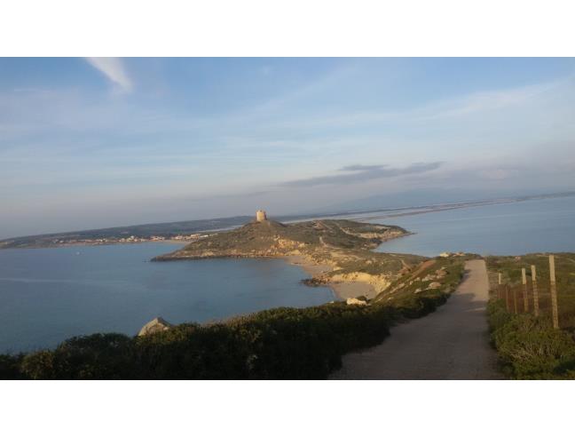 Anteprima foto 2 - Affitto Appartamento Vacanze da Privato a Cabras (Oristano)