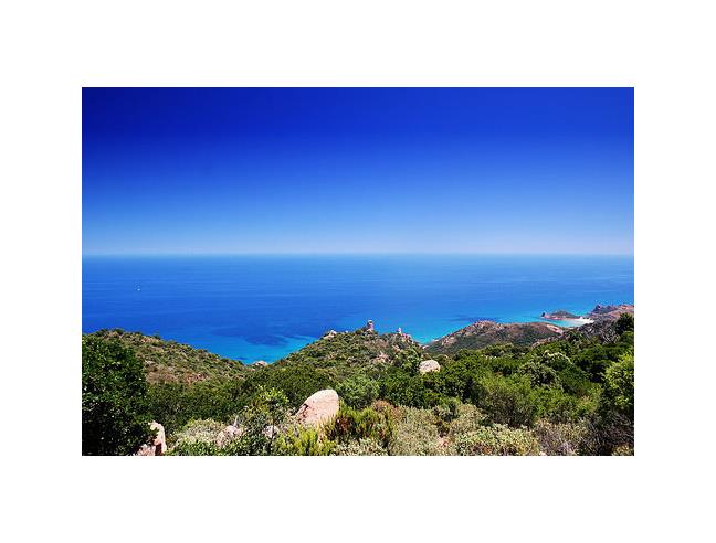 Anteprima foto 5 - Affitto Appartamento Vacanze da Privato a Cabras (Oristano)