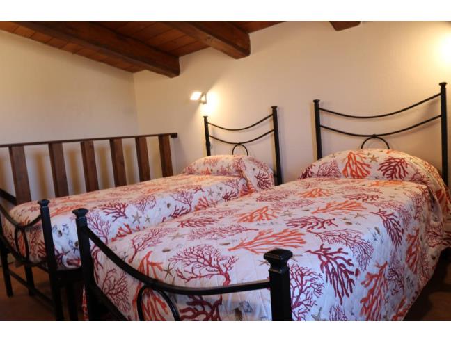 Anteprima foto 5 - Affitto Appartamento Vacanze da Privato a Cabras (Oristano)