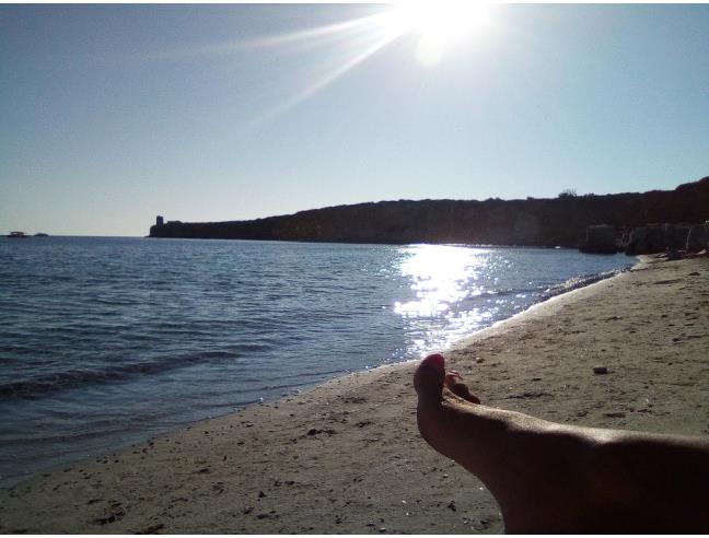 Anteprima foto 5 - Affitto Appartamento Vacanze da Privato a Cabras - San Salvatore