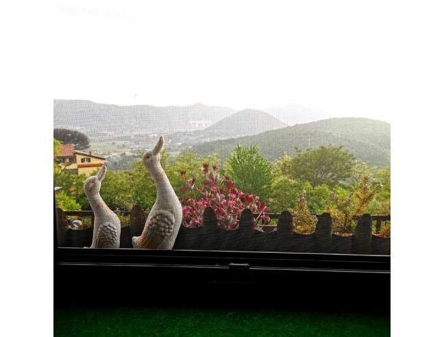 Anteprima foto 1 - Affitto Appartamento Vacanze da Privato a Caiazzo (Caserta)