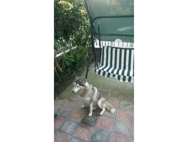 Anteprima foto 5 - Affitto Appartamento Vacanze da Privato a Calatabiano (Catania)