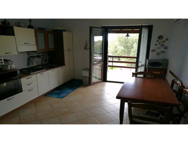 Anteprima foto 5 - Affitto Appartamento Vacanze da Privato a Camerota - Marina Di Camerota