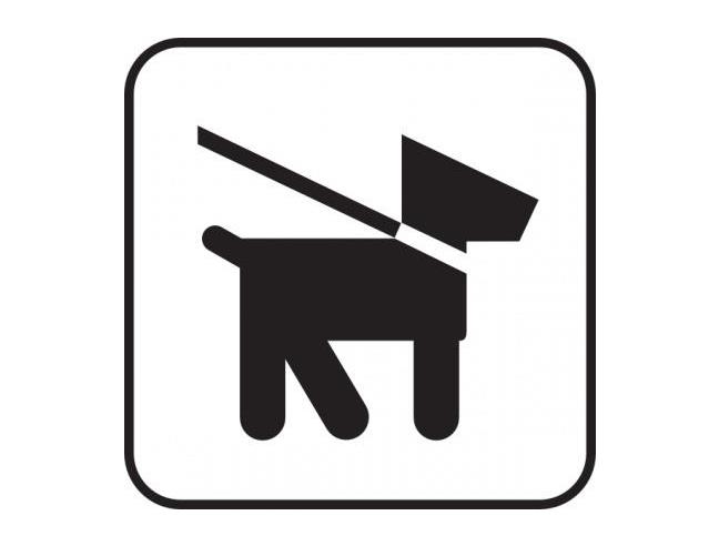 Anteprima foto 8 - Affitto Appartamento Vacanze da Privato a Campiglia Marittima - Venturina